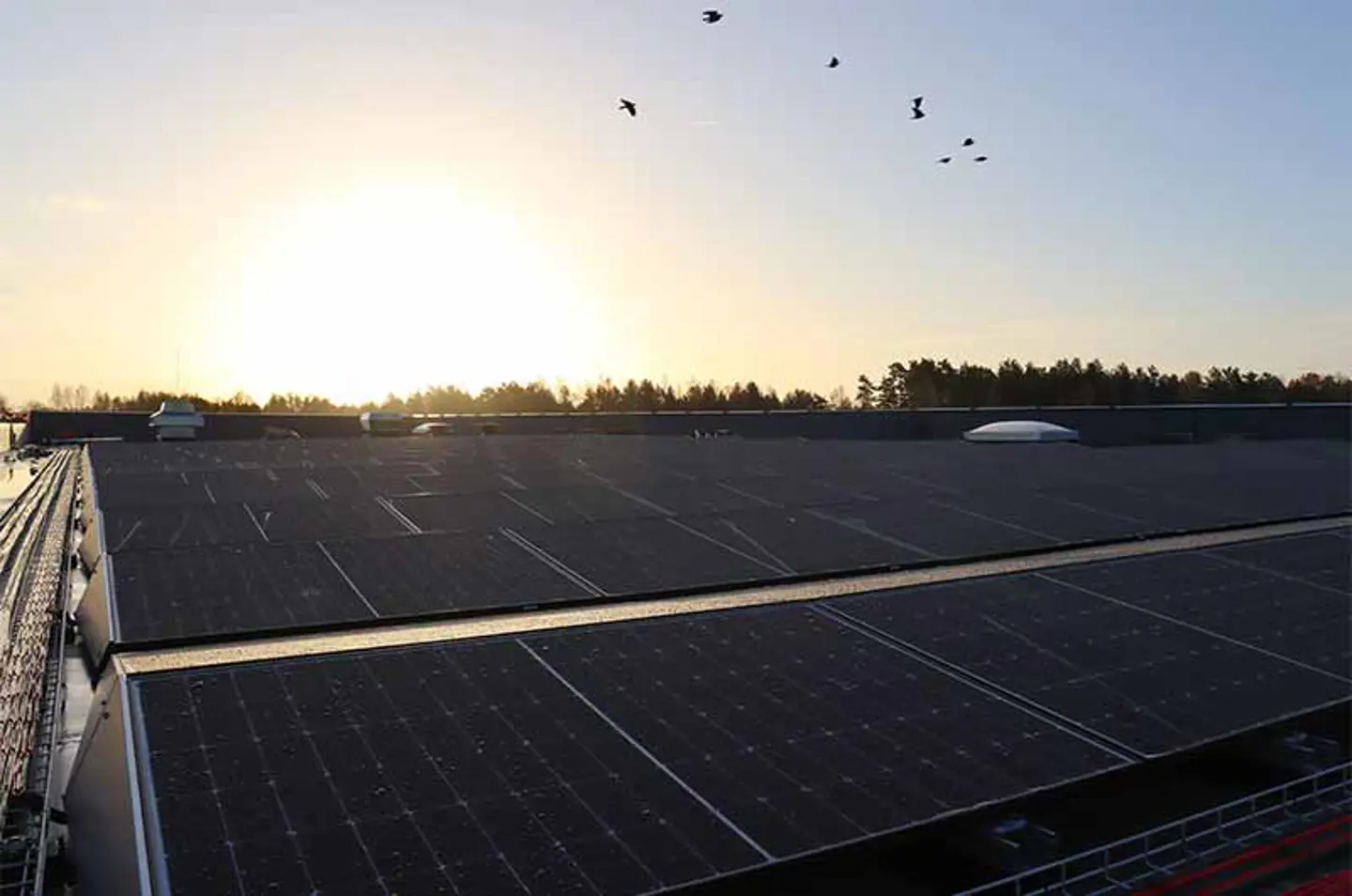 Paneles solares en el tejado de la sede de Axelent